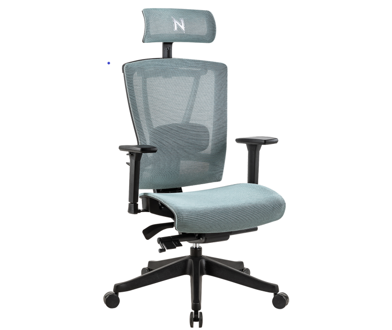 Hinomi vs. NextChair: A Comparative Analysis