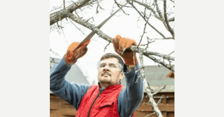 Lot Clearing Services: Transforming Your Property with Professional Land Management